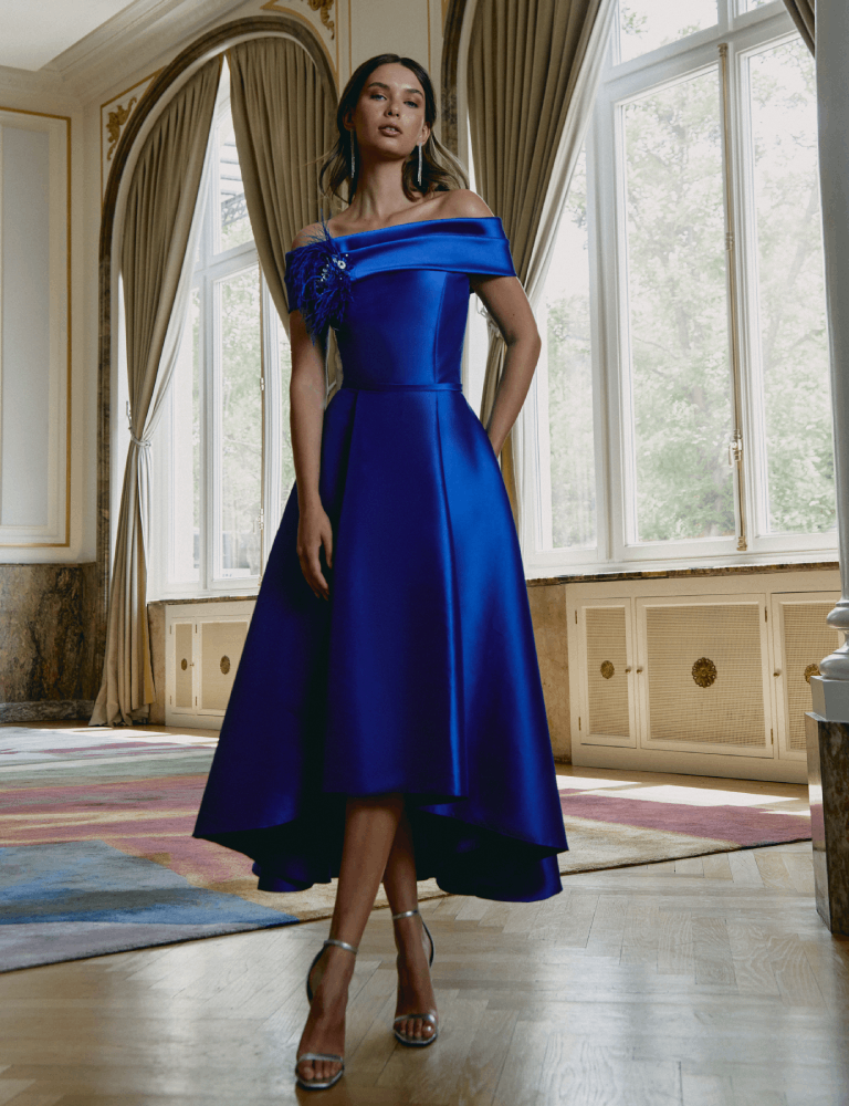 royal-blue-gabriele-sanchez-dress